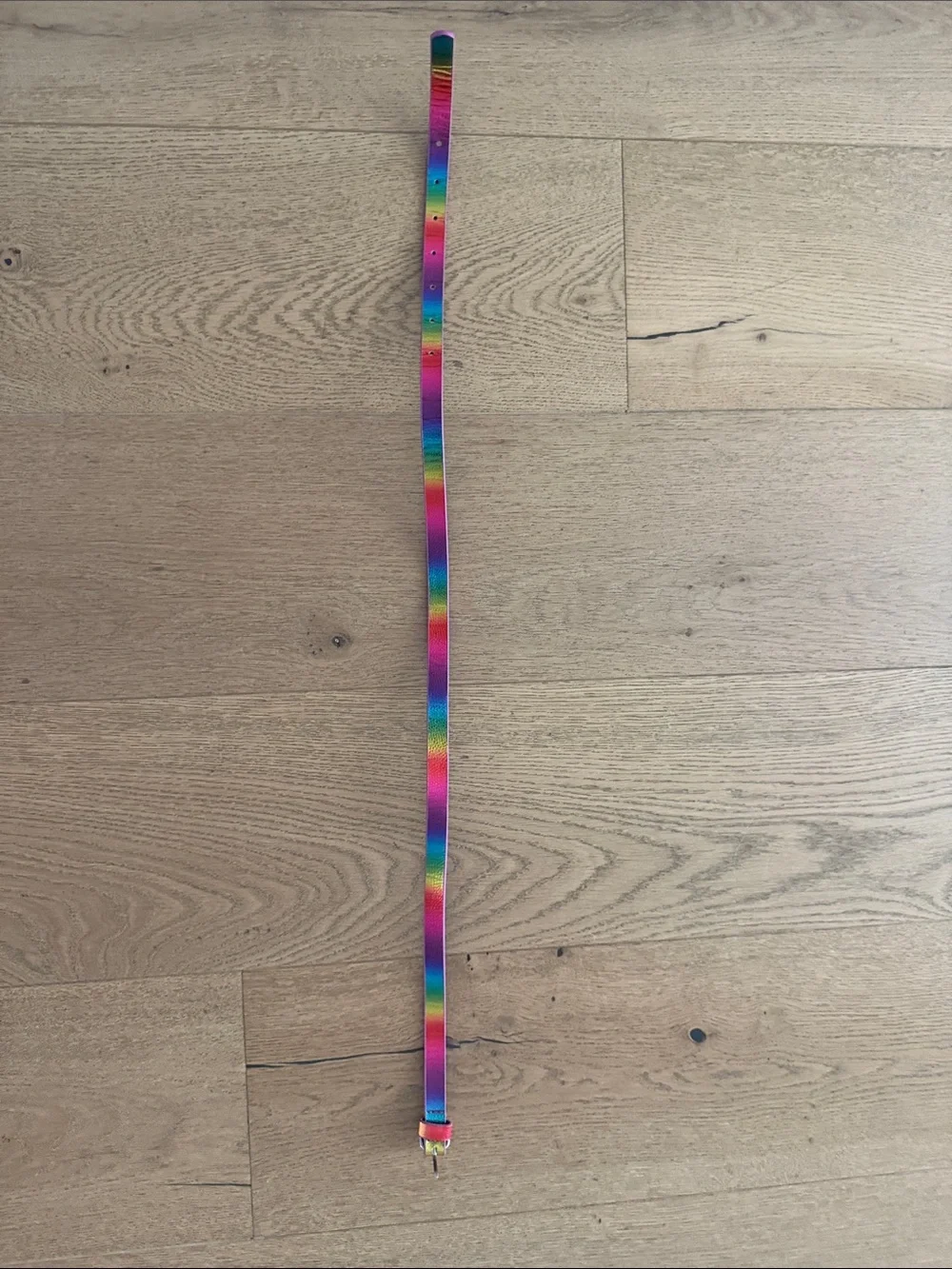 Rainbow Striped Adjustable Belt
